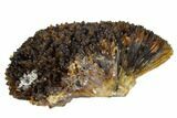 Radiating, Honey-Amber Calcite Crystal Cluster - China #115489-1